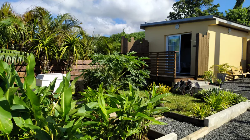 Le jardin tropical de la maison
